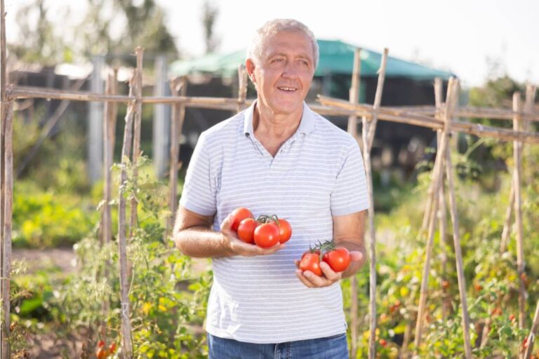 A Family Finally Understood Why Grandpa Never Let Anyone Near His Tomato Patch, After Finding a Box He'd Left Behind