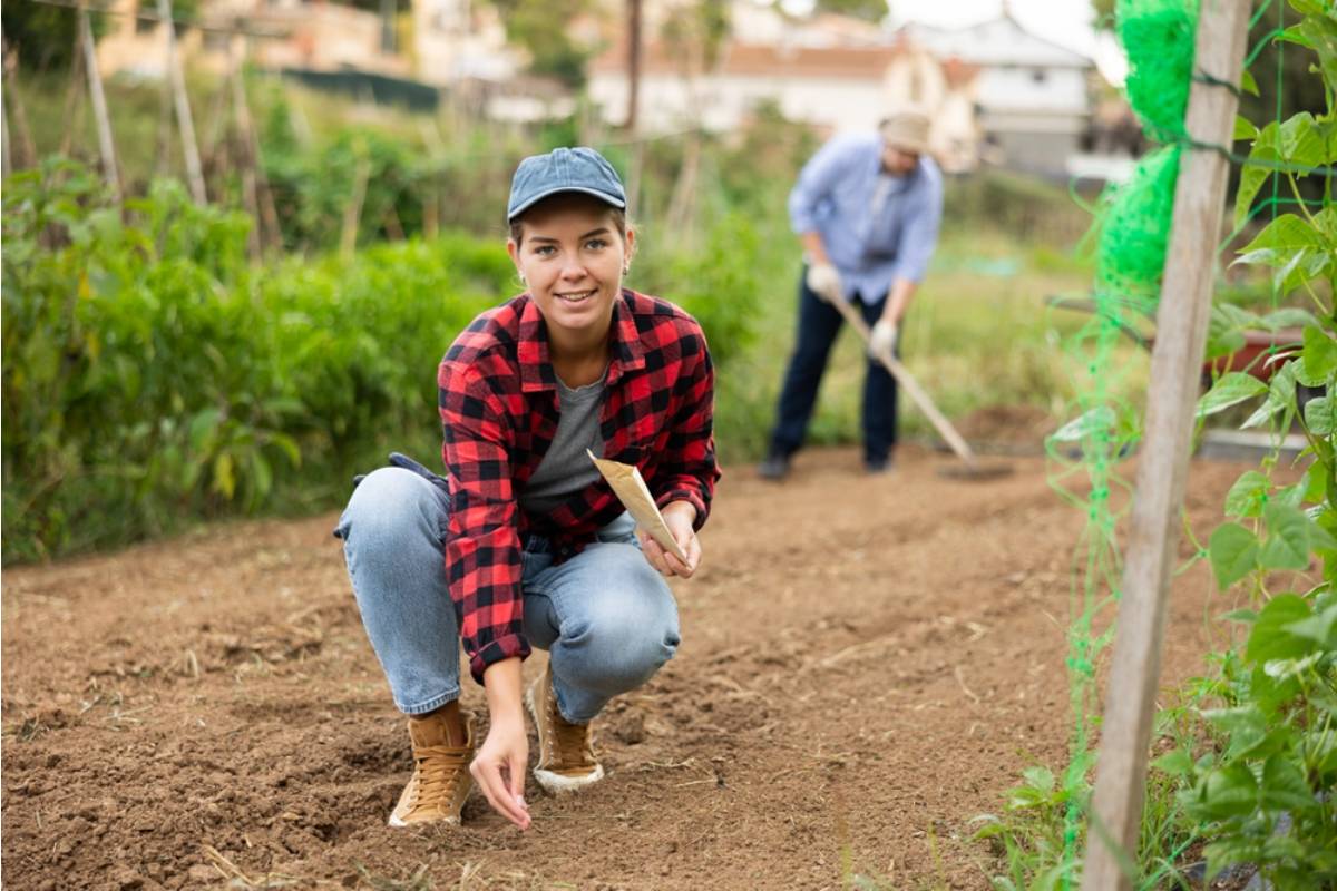 Gardener Says She Spent an Entire Spring Restoring a Rundown Community Plot for Elderly Residents, Then a City Crew Paved Over It Two Weeks Later for "Higher Priority Parking"