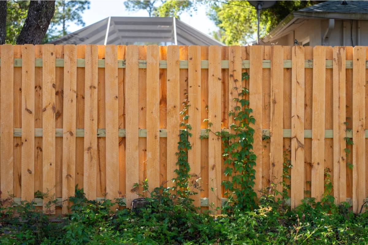 Homeowner Says His Neighbor Convinced Him to Split the Cost of a Privacy Fence Along Their Shared Line, Then Sold the House Two Months Later Without Ever Paying Her Half