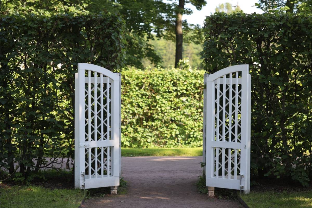 Gardener Says She Left Her Garden Gate Unlocked for a Trusted Neighbor to Feed Her Cat During a Trip, Then Came Home to Find Half Her Perennial Beds Rearranged Into a "Better Layout"