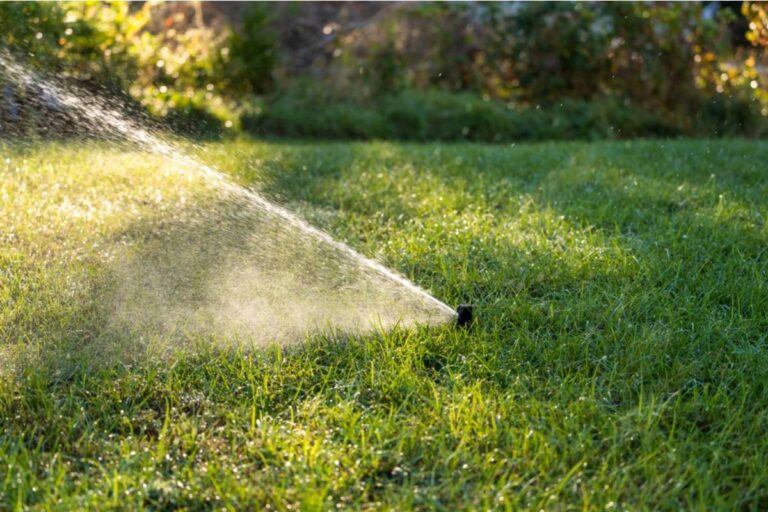 Homeowner Says Her Neighbor Insisted Her Rain Garden Would Flood the Street for Two Years, Then Copied It Exactly After a Drought Killed His Own Lawn