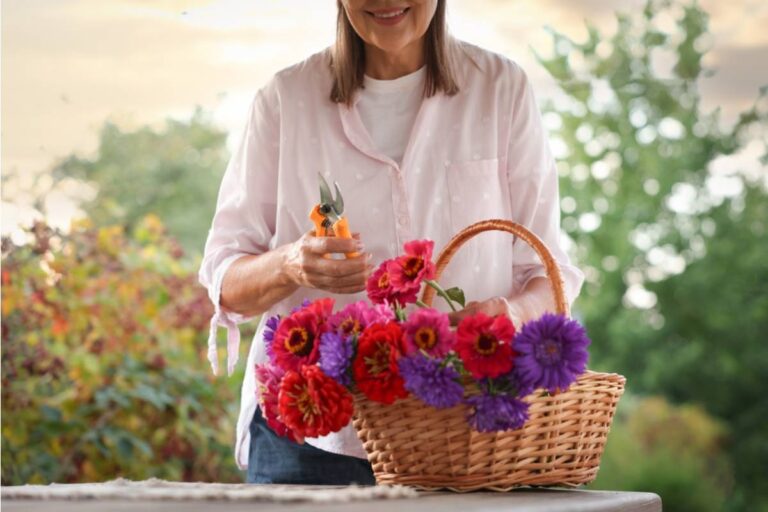 Gardener Says She Has Been Gifting Her Neighbor a Handpicked Bouquet Every Friday for Three Years, Then Found Out the Neighbor Has Been Reselling Them at a Local Market Every Saturday Morning