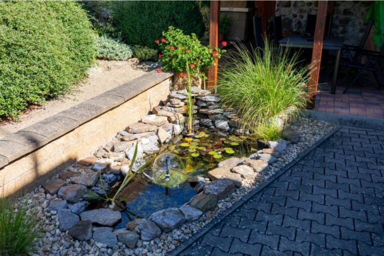 Gardener Says Her Neighbor Called Her Backyard Pond Garden "A Mosquito Magnet" for Three Years, Then Asked for the Contractor's Number After Seeing It on the Local News