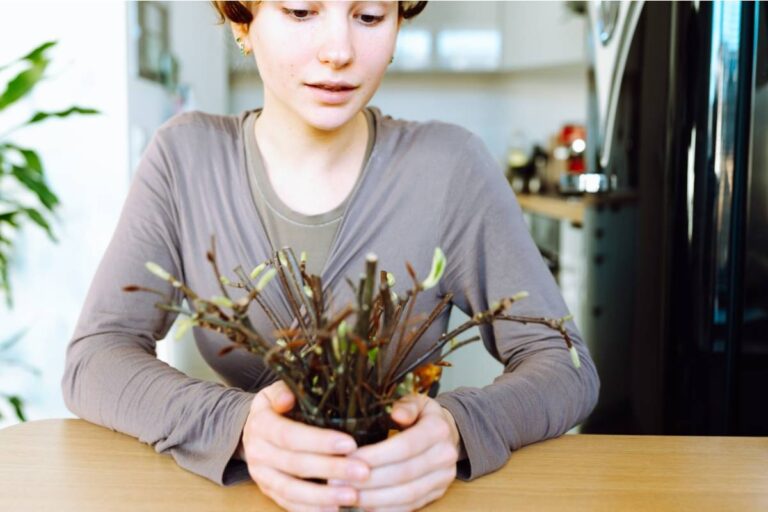 Gardener Says She Gave Her Neighbor Cuttings From Her Rare Orchid Collection as a Housewarming Gift, Then Found the Same Variety Being Sold at a Booth With Her Neighbor's Name on the Tag