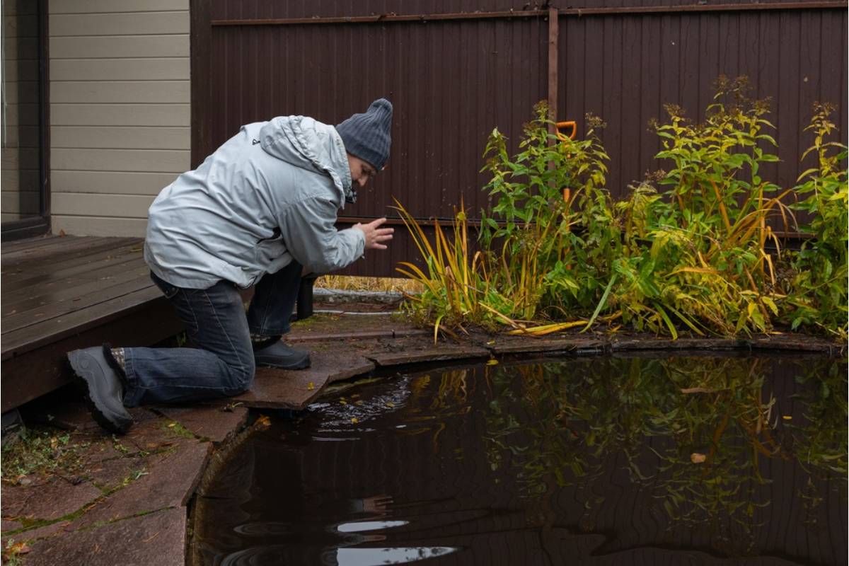 Homeowner Says His Neighbor Convinced the City to Reclassify His Backyard Pond as a Wetland Hazard, Then Applied for a Permit to Build the Exact Same Feature Months Later