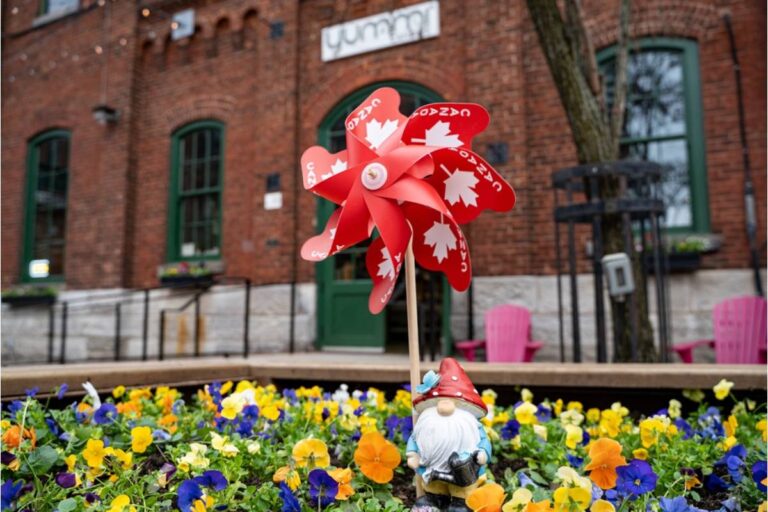 Homeowner Says His Neighbor Has Been Insisting for Months That His Garden Windmill Ornament Was Too Noisy at Night, Then Installed a Louder Wind Chime Set Directly Facing His Bedroom Window