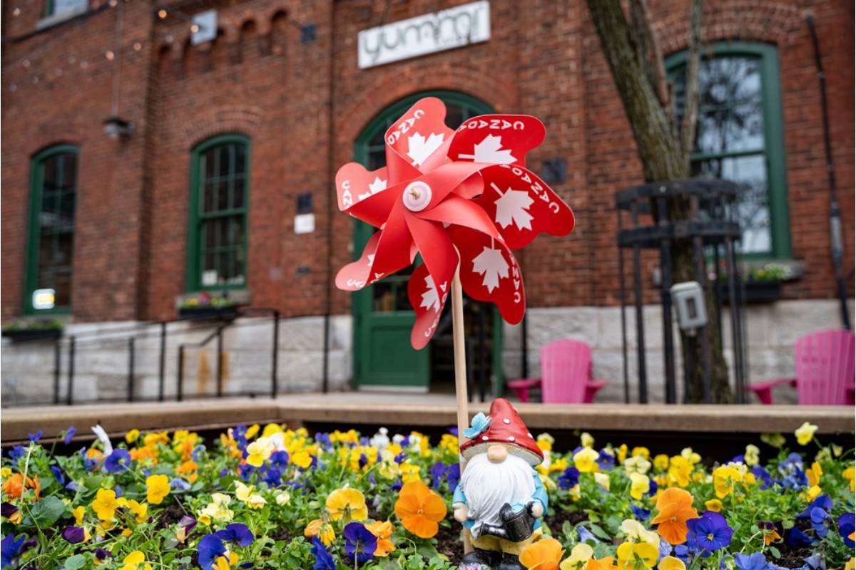 Homeowner Says His Neighbor Has Been Insisting for Months That His Garden Windmill Ornament Was Too Noisy at Night, Then Installed a Louder Wind Chime Set Directly Facing His Bedroom Window