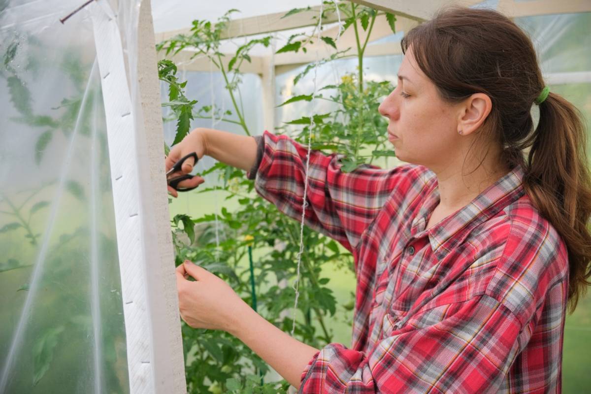 Gardener Says a Local Garden Club Rejected Her Membership Application for Years, Then Asked Her to Judge Their Annual Contest This Season