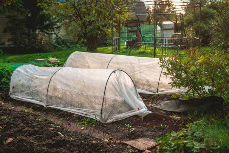 Homeowner Says His Neighbor Convinced the HOA to Ban Backyard Greenhouses Entirely, Then Quietly Built an Identical One Disguised as a Storage Shed the Following Month