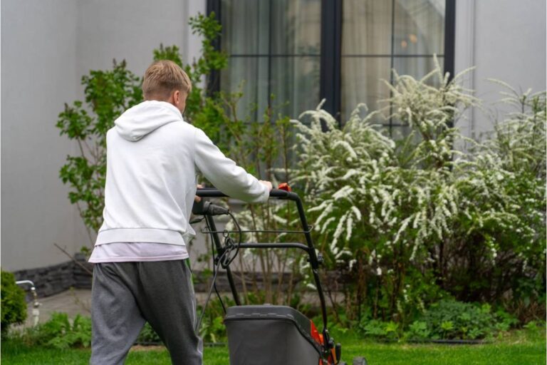 Homeowner Says Her Son-in-Law Offered to Mow While She Recovered From Surgery, Then Mowed Down an Entire Row of Vegetable Seedlings He Didn't Recognize