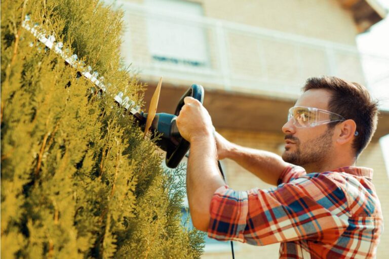 Homeowner Says Her Uncle Offered to Trim the Hedges While Watching the House, Then Cut Down the Privacy Screen Her Late Husband Planted the Year They Married