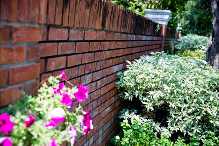 Homeowner Says His Neighbor Has Been Insisting for Years That He Never Agreed to Share Maintenance Costs on Their Joint Garden Wall, Then Sent Him an Invoice for "Back Payments" the Moment He Mentioned Selling His House