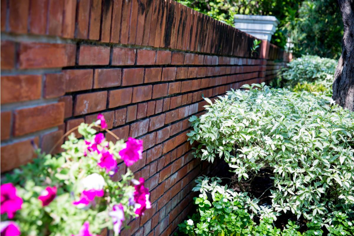 Homeowner Says His Neighbor Has Been Insisting for Years That He Never Agreed to Share Maintenance Costs on Their Joint Garden Wall, Then Sent Him an Invoice for "Back Payments" the Moment He Mentioned Selling His House