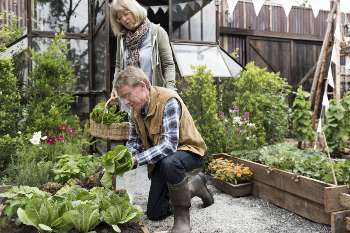 Gardener Says She's Been Hosting a Free Weekly Gardening Class in Her Backyard for Retirees, Then a Neighbor Reported Noise Complaints Only on the Days Refreshments Were Served