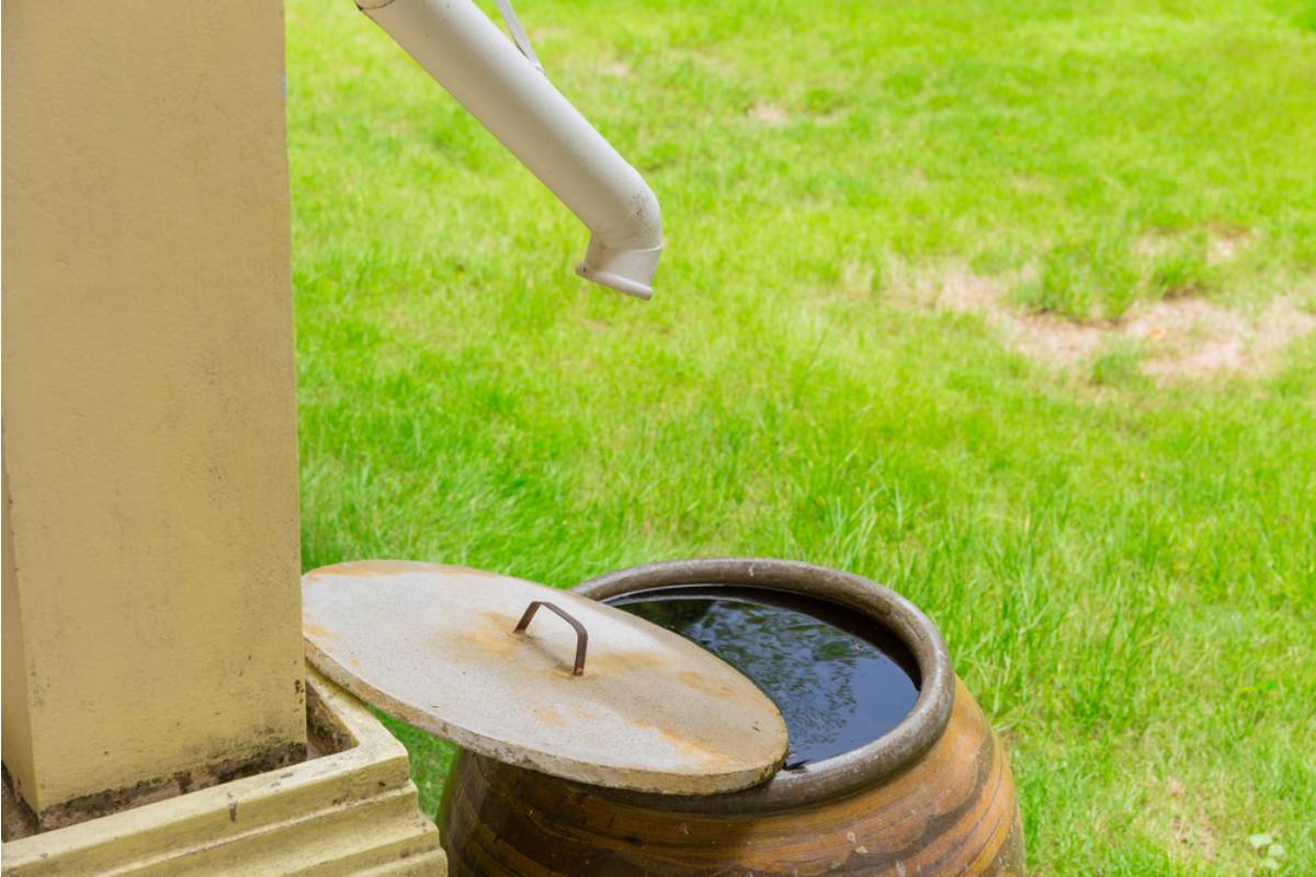 Homeowner Says Her Neighbor Dismissed Her Rain Barrel System as Pointless for Years, Then Asked to Connect Her Own Downspout to It During a Water Shortage