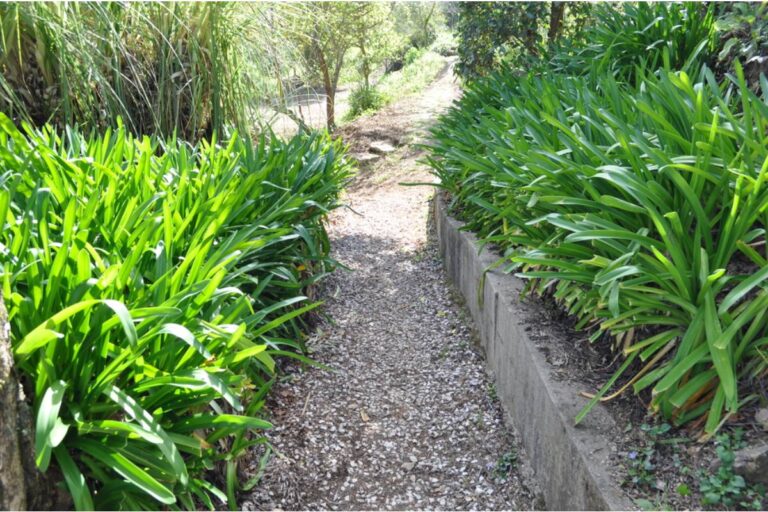 Homeowner Says His Neighbor Has Been Slowly Widening a Shared Gravel Path Every Time He Redoes His Landscaping, Now It Cuts Directly Through What Used to Be His Garden Border