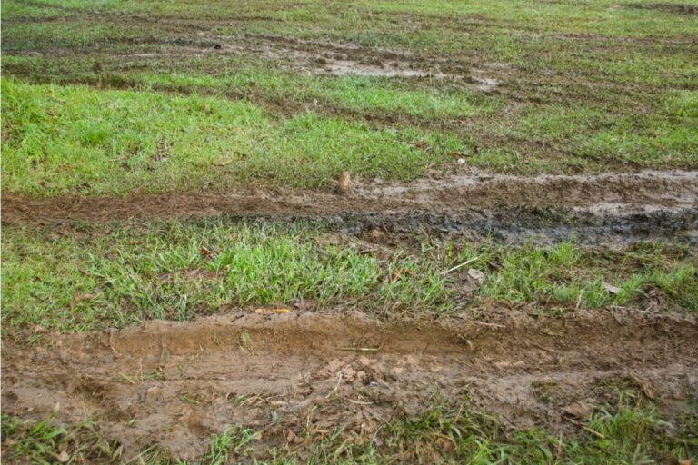Homeowner Says His Neighbor Has Been Letting Her Cleaning Crew Track Mud Directly Through His Freshly Planted Beds Every Week on Their Way to the Backyard