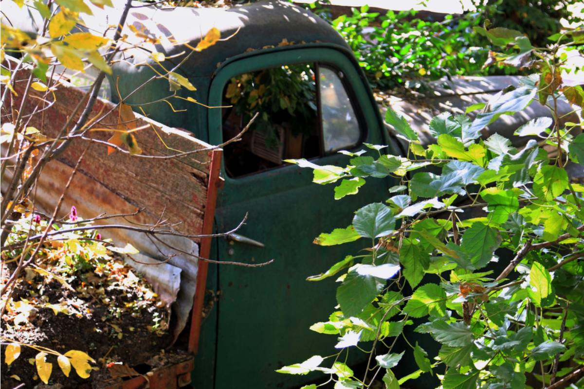 Homeowner Says Her Niece Was Left in Charge of the House During a Business Trip and Let a Boyfriend Park His Truck on Top of the Vegetable Beds