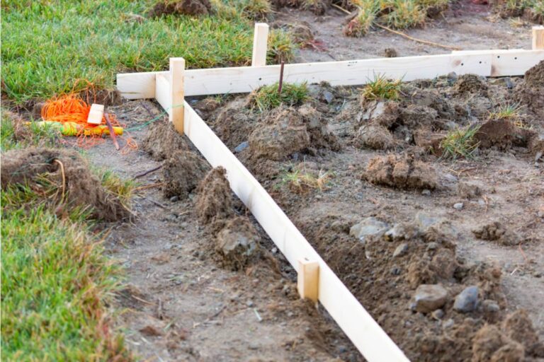A Gardener Returned to Her Allotment After Four Days Away, Then Discovered Someone Had Cleared Half the Plot by Mistake