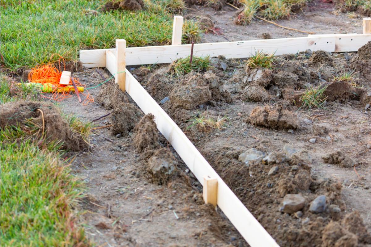 A Gardener Returned to Her Allotment After Four Days Away, Then Discovered Someone Had Cleared Half the Plot by Mistake