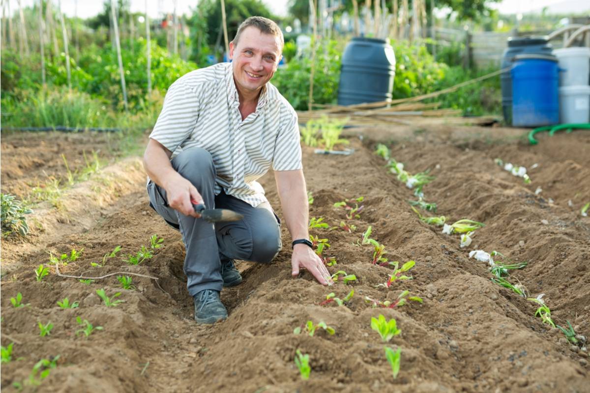 A Gardener Says He Finally Turned His Empty Backyard Corner Into a Real Food Garden, But Quickly Realized Some Crops Weren't Worth the Space