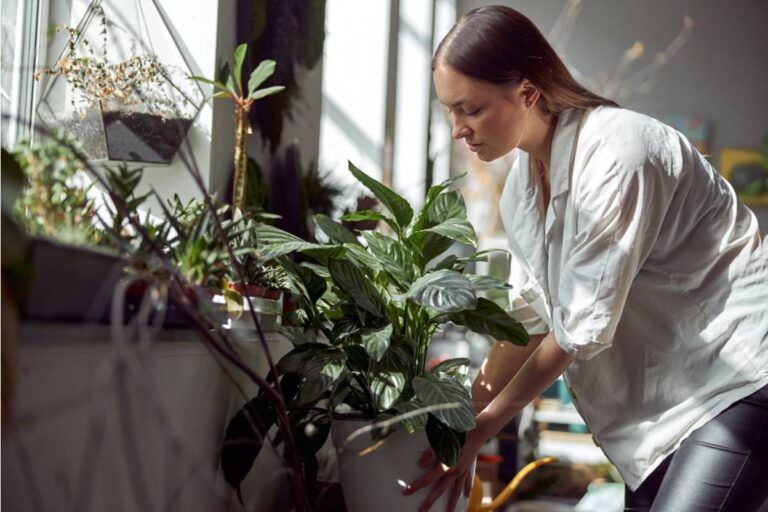 A Gardener Trusted AI to Save His Pepper Crop From the UK Weather, Then Five Minutes of Pruning Left His Healthy Plants Fighting to Recover