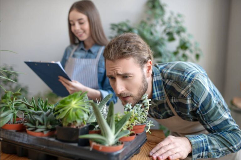 A Man Spent Three Years Secretly Killing His Sister’s Houseplants Out of Jealousy, Then Her Fiddle Leaf Fig Named After Their Grandmother Made Him Regret Everything