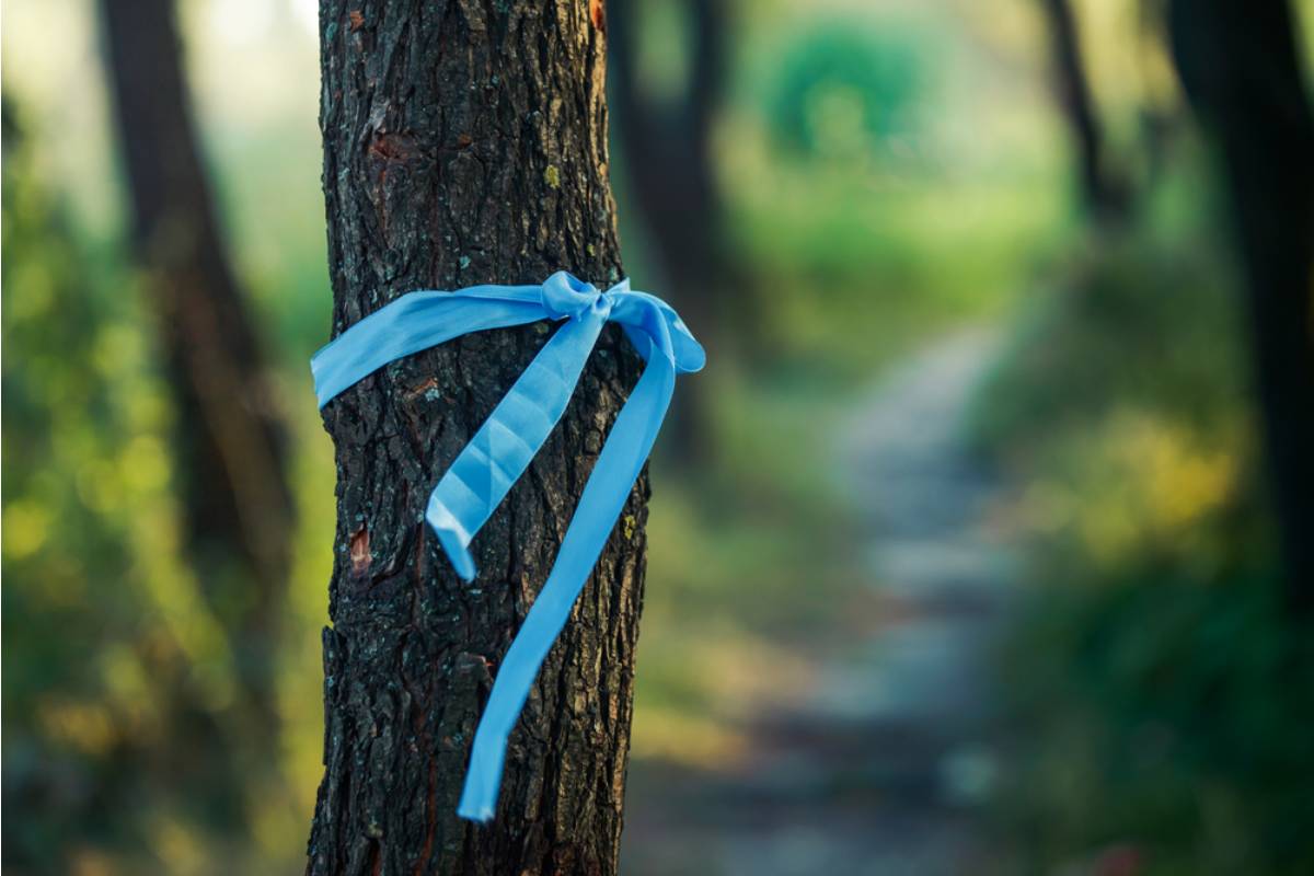 A Small Town Garden Club Has Been Quietly Feuding Over the Same Blue Ribbon for Fifteen Years, and Nobody Outside the Club Knows Why