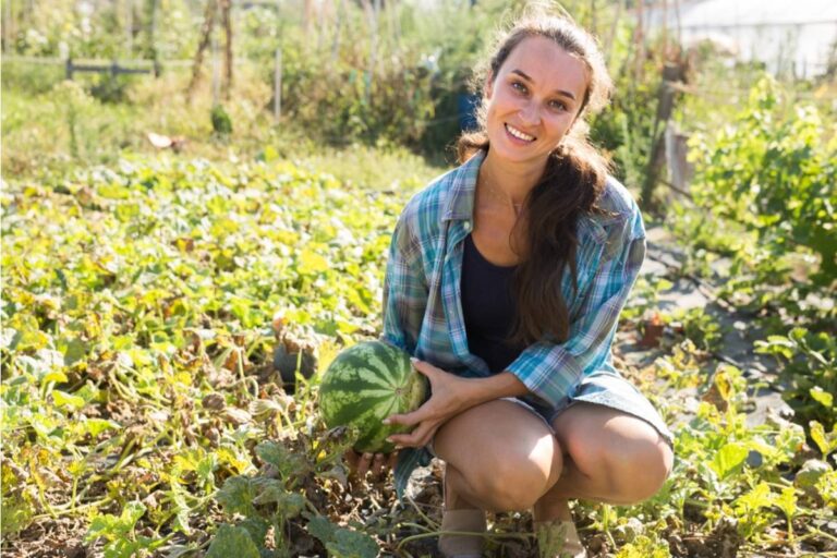 A Wife Says Her Garden Is the Only Thing That Brings Her Pure Joy, Then Her Husband's Strange Reaction Made Everyone Ask What Was Really Going On