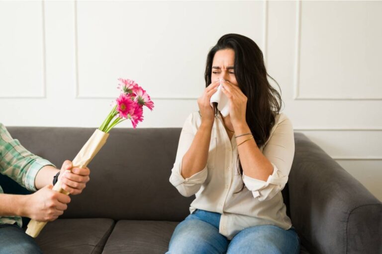 Cat Owner Says Her Sister Brought Home Toxic Flowers Three Weeks After a $3,000 Emergency, Then Got Angry When Asked to Check the Bouquet