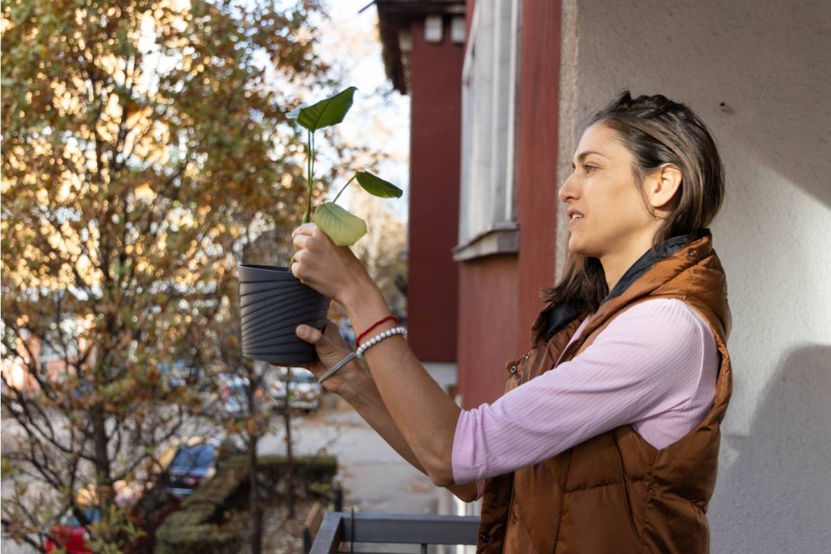 Couple Says They Took Care of Every Communal Garden Chore in Their Building, Then Their Neighbors Accused Them of Creating a “Bad Atmosphere”