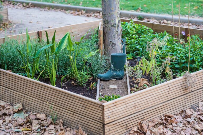 Homeowner Caught a Stranger Stealing Vegetables From His Front Garden, Then Discovered the New Neighbor Had a Much Bigger Problem