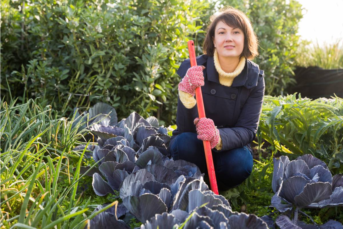 Homeowner Finally Shouted Back at the Neighbors Who Kept Turning Their Shared Garden Boundary Into a Battleground