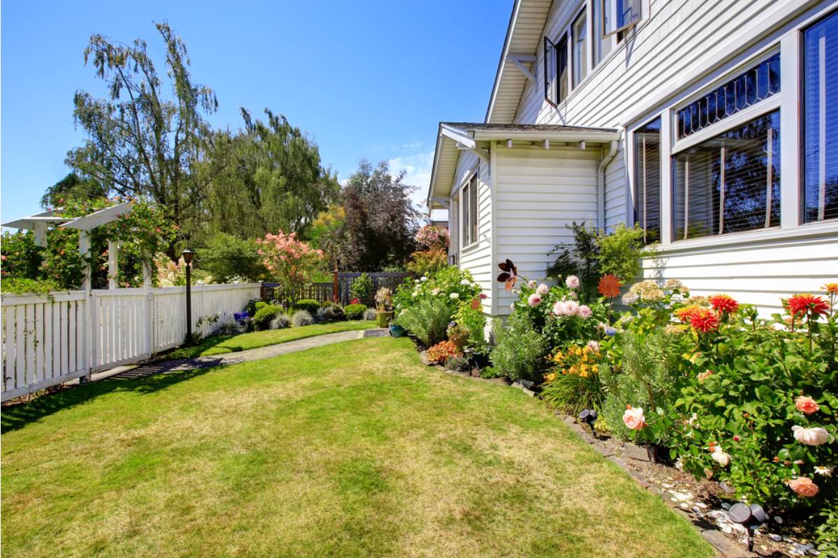 Homeowner Says Her City Issued a Weed Violation for Her Front Yard, Then She Discovered the Weeds Could Be Replaced With a Native Pollinator Garden