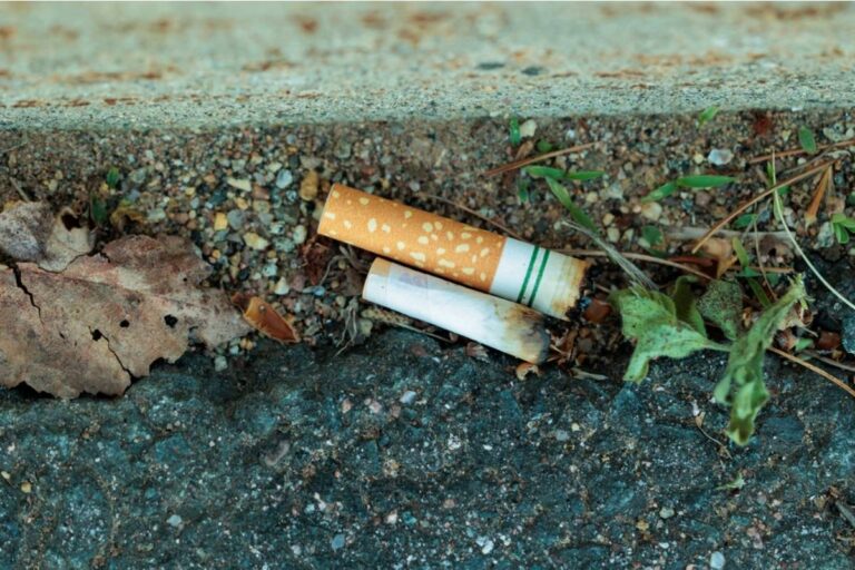 Homeowner Says Her Elderly Neighbor Watched Her Garden for Months, Then Thousands of Cigarette Butts Revealed Where the Trouble Was Coming From