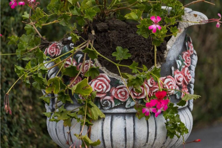 Homeowner Says Her Flowers Were Suddenly Being Broken After Months of Peace, Then She Realized Her Neighbor’s “New Phase” Had Begun