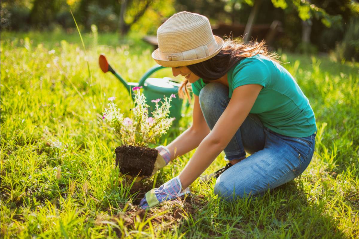 Homeowner Says Her HOA Fined Her for Planting Two Harmless Flowers, Then She Discovered What the Board Was Really Protecting
