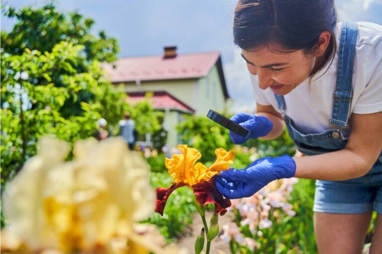 Homeowner Says Her HOA Ordered Her to Dig Up Twenty Cubic Feet of Thriving Garden, Then Her Transplanted Flowers Proved Them Wrong