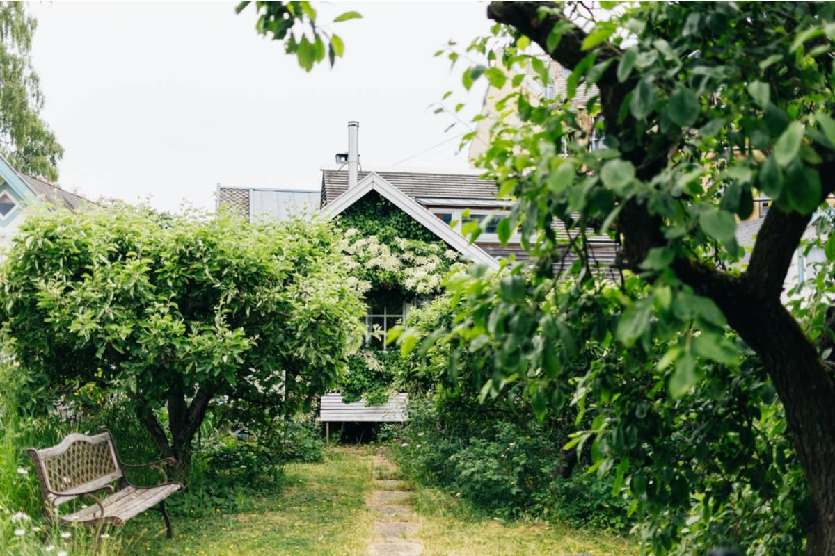 Homeowner Says Her Mother’s Garden Became an HOA Target After a Family Tragedy, Then She Learned the Neighborhood Had Resented Their Home for Eighteen Years