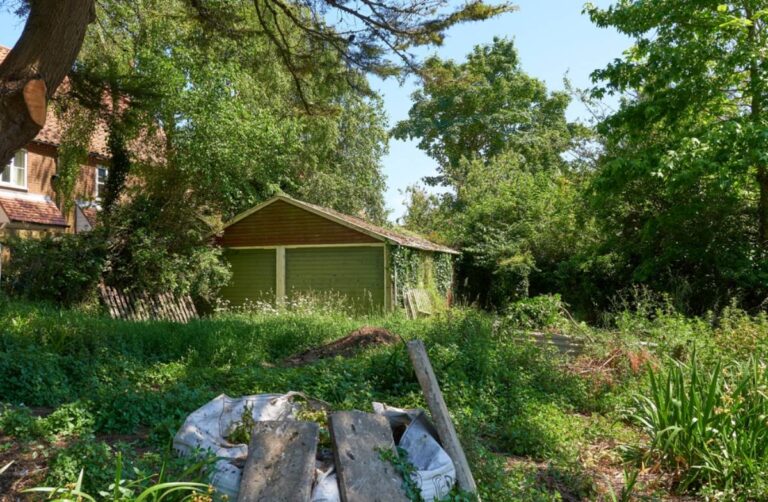 Homeowner Says Her Neighbor Kept the Front Lawn Perfect While Letting the Backyard Become a Two-Foot Jungle, Until She Learned Why He Never Mowed It