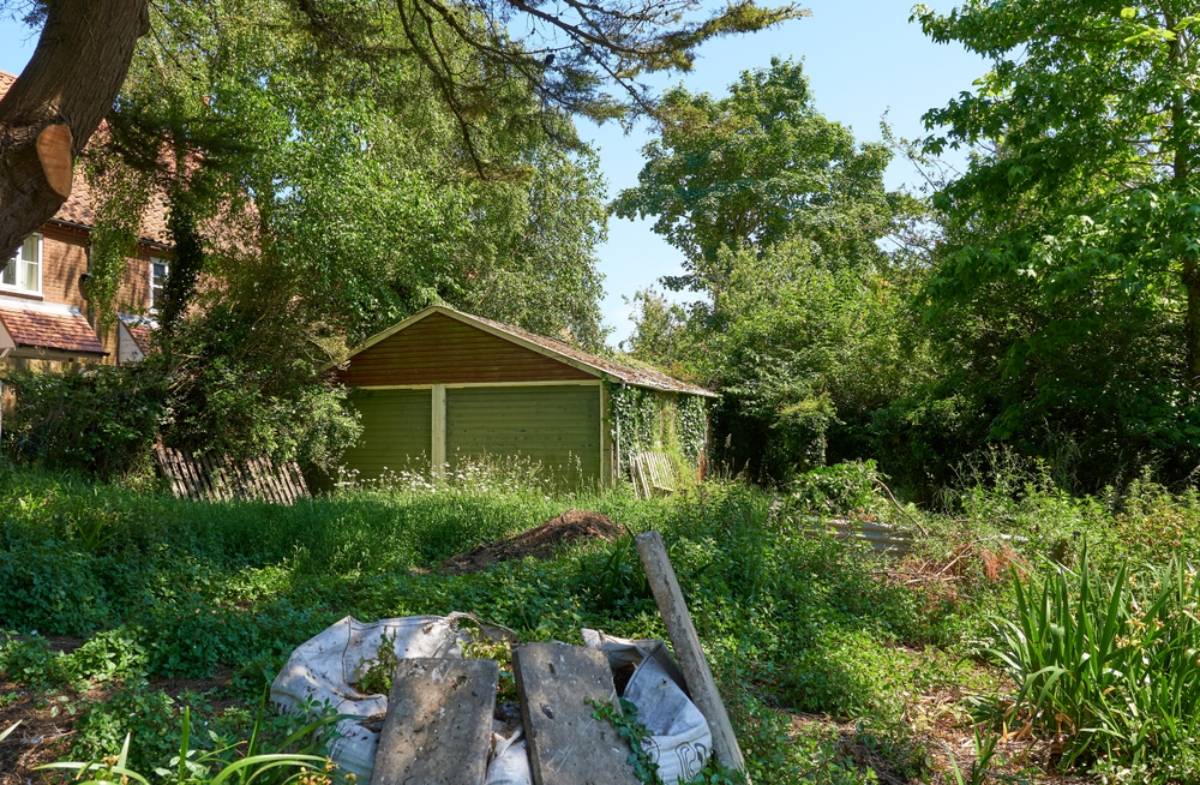 Homeowner Says Her Neighbor Kept the Front Lawn Perfect While Letting the Backyard Become a Two-Foot Jungle, Until She Learned Why He Never Mowed It
