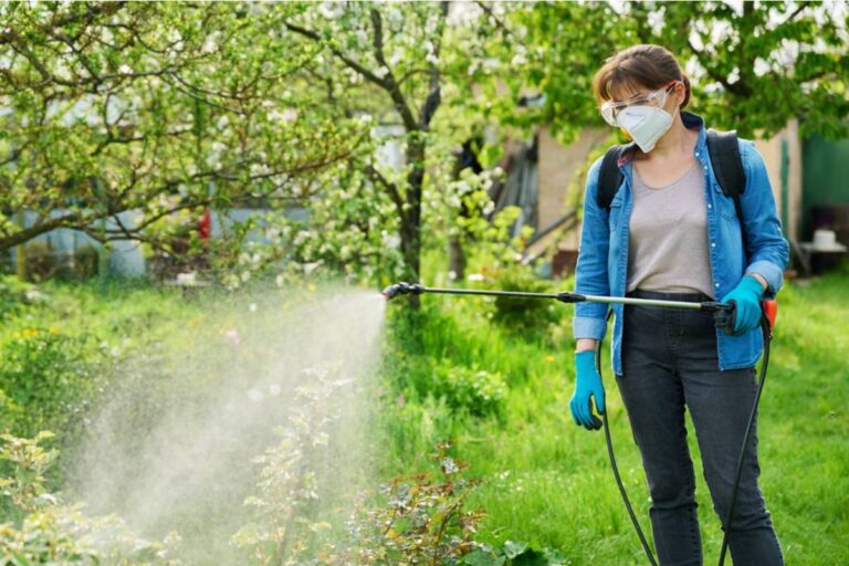 Homeowner Says Her Neighbor Sprayed Her Wildflower Garden, Then Called the City to Complain About the “Weeds” She Had Carefully Planted