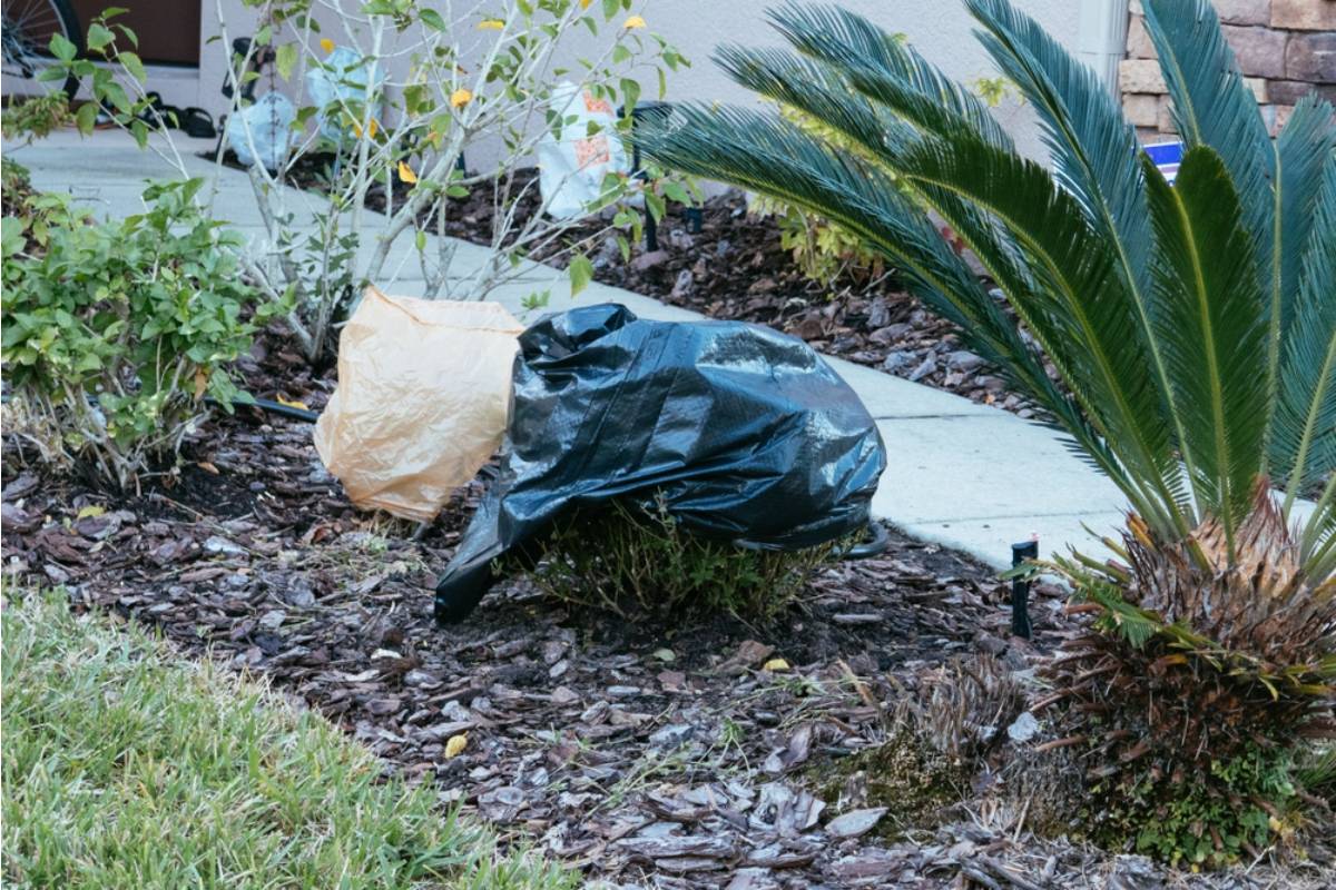 Homeowner Says Her Neighbors Kept Throwing Trash Into Her Garden Pots, Then She Realized the Garbage Was Only Part of Their Strange Daily Game