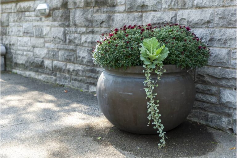 Homeowner Says Her Problematic Neighbor Left a Barrel-Sized Flower Pot in an Elderly Woman's Yard During His Move, Then Shrugged When Asked Who Was Supposed to Move It