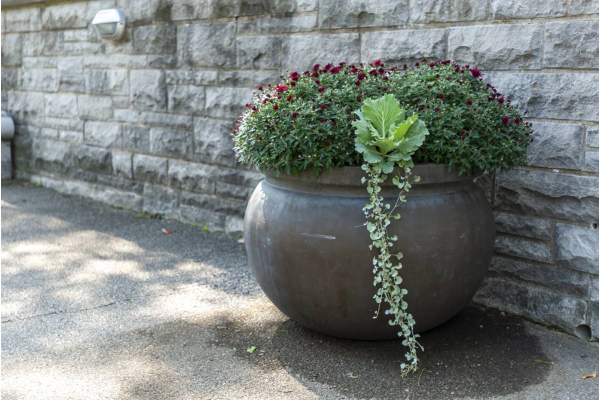 Homeowner Says Her Problematic Neighbor Left a Barrel-Sized Flower Pot in an Elderly Woman's Yard During His Move, Then Shrugged When Asked Who Was Supposed to Move It