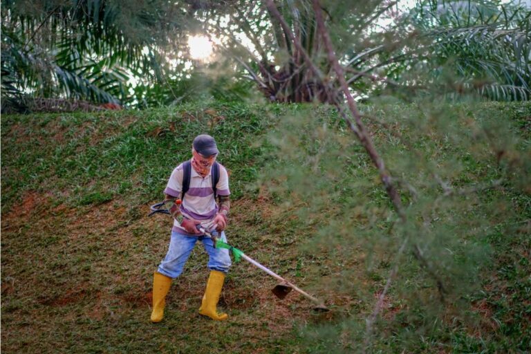 Homeowner Says Her Relative Kept Mowing Her Private Hillside, Then She Planted Something He Couldn’t Ignore