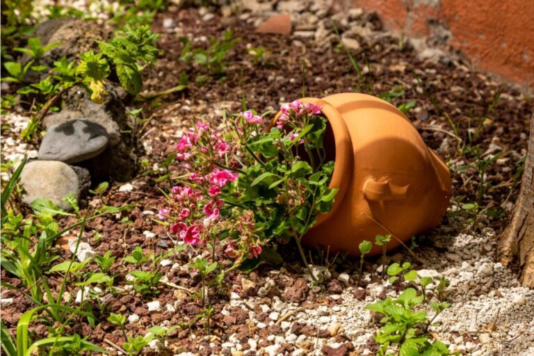 Homeowner Says Neighbor's Children Turned Her Rose Garden Into a Soccer Field, Then Their Father Accused Her of Calling Them Dumb