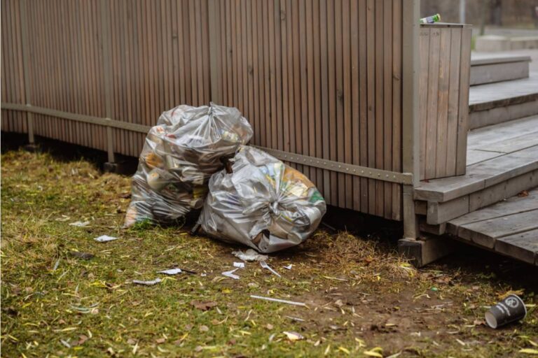 Homeowner Says Neighbors Used Her Property Line as a Personal Dumping Ground, Then a Dead Deer Turned the Garden Into an Uncomfortable Lesson