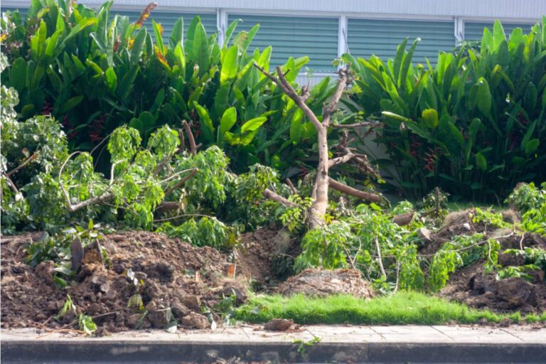Homeowner Says New Neighbors' Endless Construction Destroyed a Huge Patch of Her Mother's Prized Lawn, Then a Careful Inspection Revealed the Damage Was Only the Beginning
