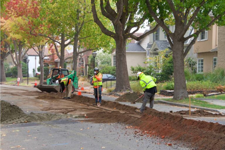 Homeowner Says a Fiber Line Was Buried Under Her Maple Tree, Then an Arborist Revealed What Was Hidden Beneath the Garden